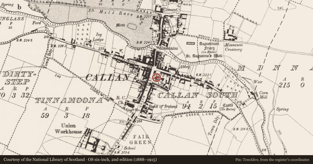 Ordnance Survey six-inch map, 2nd edition (1888–1915) covering the location of Graveslab, Callan South, County Kilkenny, with a pin at the register's coordinates