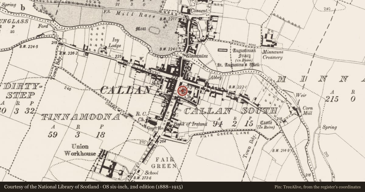 Ordnance Survey six-inch map, 2nd edition (1888–1915) covering the location of Graveslab, Callan South, County Kilkenny, with a pin at the register's coordinates