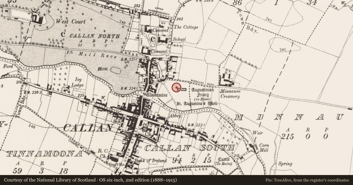 Ordnance Survey six-inch map, 2nd edition (1888–1915) covering the location of Graveslab, Callan North, County Kilkenny, with a pin at the register's coordinates