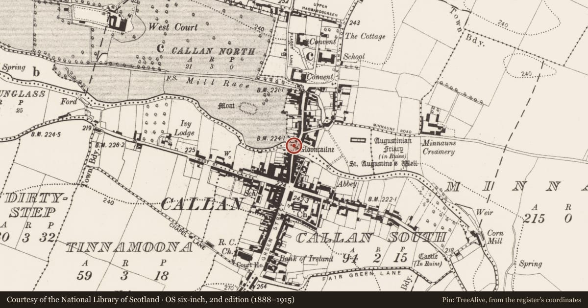 Ordnance Survey six-inch map, 2nd edition (1888–1915) covering the location of Bridge, Callan North, Callan South, County Kilkenny, with a pin at the register's coordinates