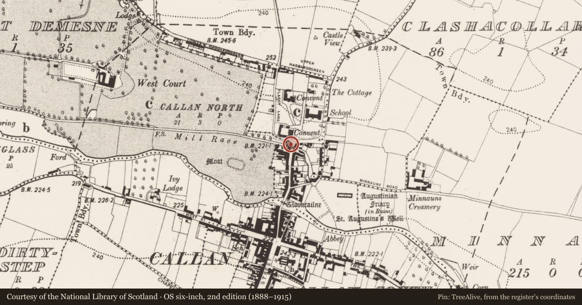 Ordnance Survey six-inch map, 2nd edition (1888–1915) covering the location of Bridge, Callan North, County Kilkenny, with a pin at the register's coordinates
