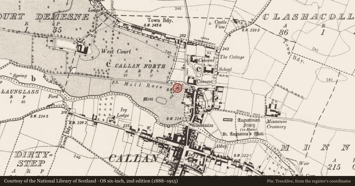 Ordnance Survey six-inch map, 2nd edition (1888–1915) covering the location of Kiln, Westcourt Demesne, County Kilkenny, with a pin at the register's coordinates