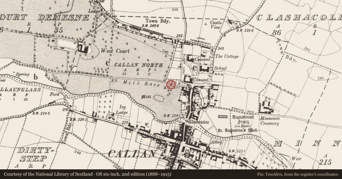 Ordnance Survey six-inch map, 2nd edition (1888–1915) covering the location of Forge, Westcourt Demesne, County Kilkenny, with a pin at the register's coordinates