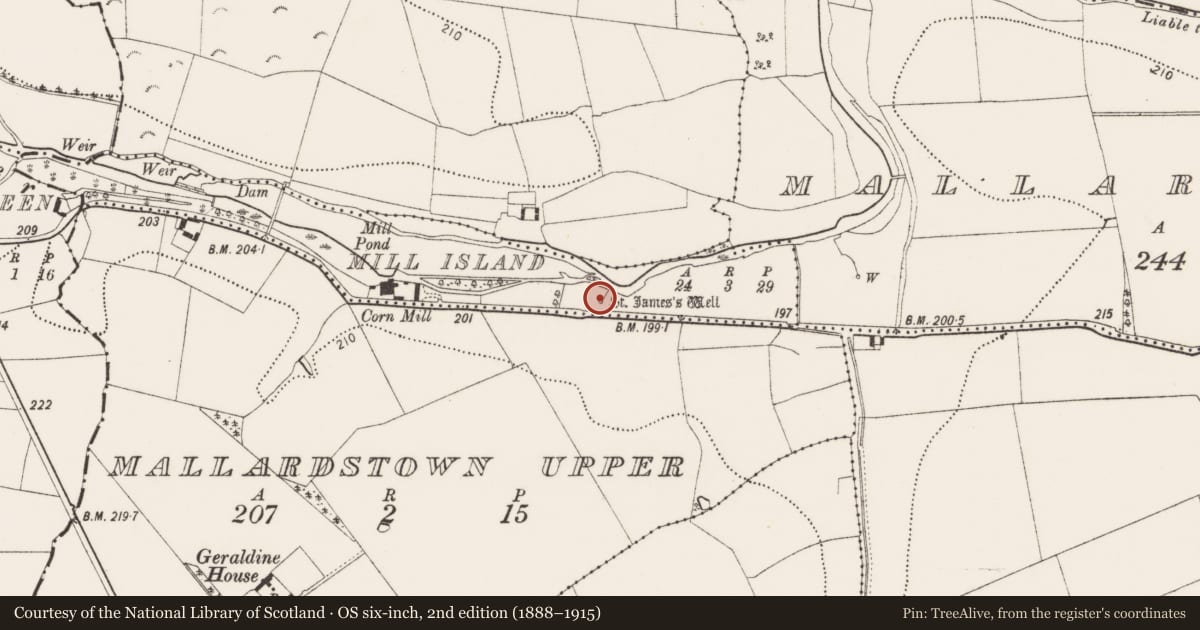 Ordnance Survey six-inch map, 2nd edition (1888–1915) covering the location of Ritual site - holy well, Mill Island, County Kilkenny, with a pin at the register's coordinates