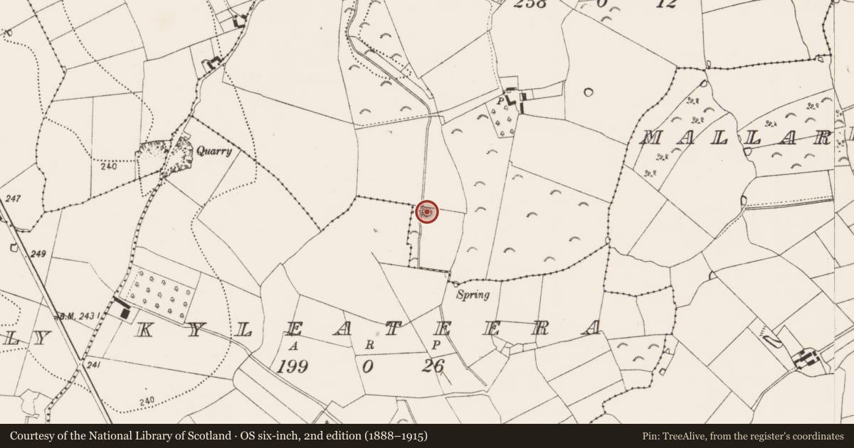 Ordnance Survey six-inch map, 2nd edition (1888–1915) covering the location of Barrow - unclassified, Mallardstown, County Kilkenny, with a pin at the register's coordinates
