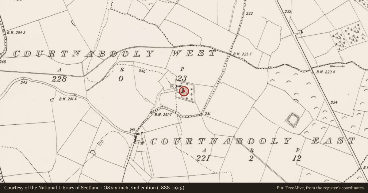 Ordnance Survey six-inch map, 2nd edition (1888–1915) covering the location of Moated site, Courtnabooly West, County Kilkenny, with a pin at the register's coordinates