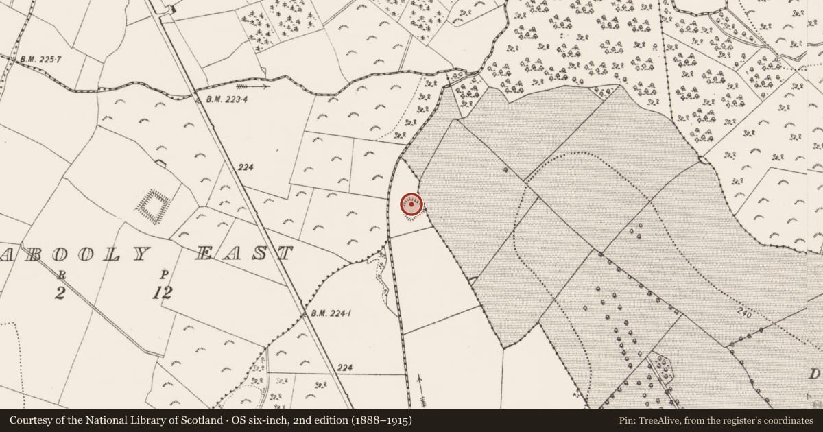 Ordnance Survey six-inch map, 2nd edition (1888–1915) covering the location of Enclosure, Ballyhall, County Kilkenny, with a pin at the register's coordinates