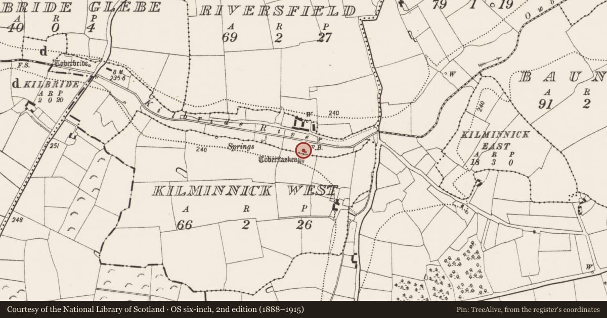 Ordnance Survey six-inch map, 2nd edition (1888–1915) covering the location of Well, Baunta Commons, County Kilkenny, with a pin at the register's coordinates