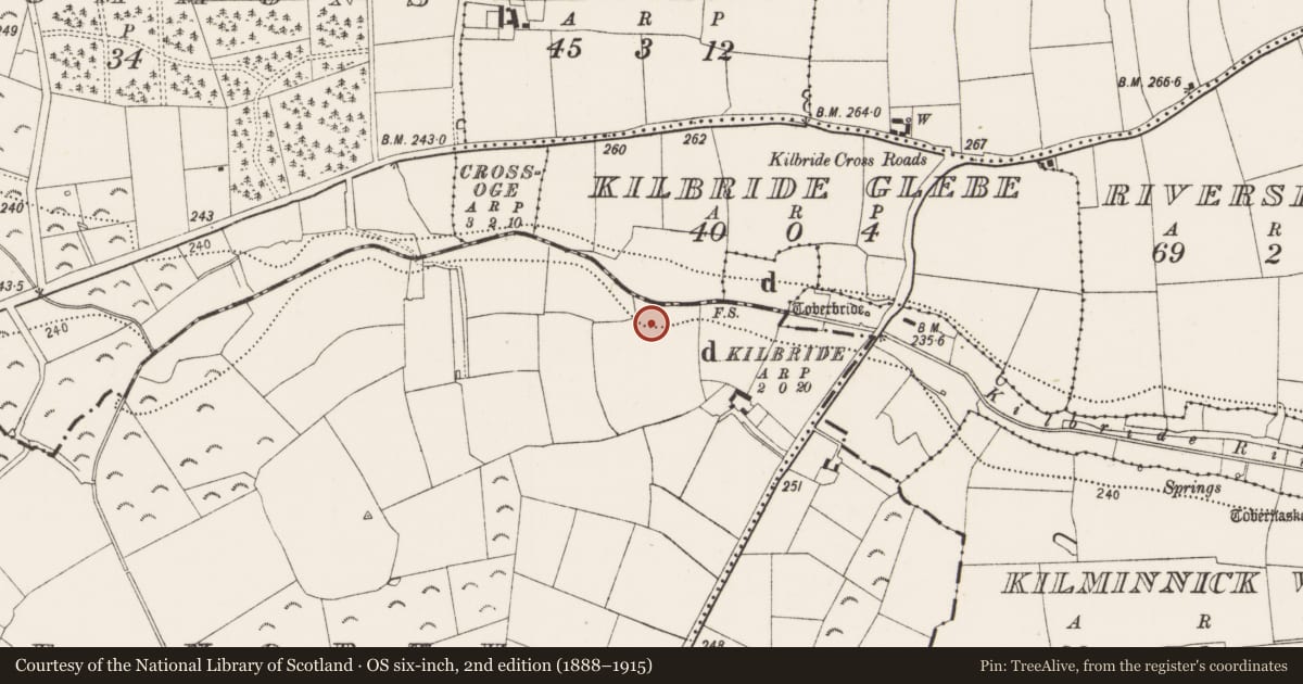 Ordnance Survey six-inch map, 2nd edition (1888–1915) covering the location of Church, Ahanure North, County Kilkenny, with a pin at the register's coordinates