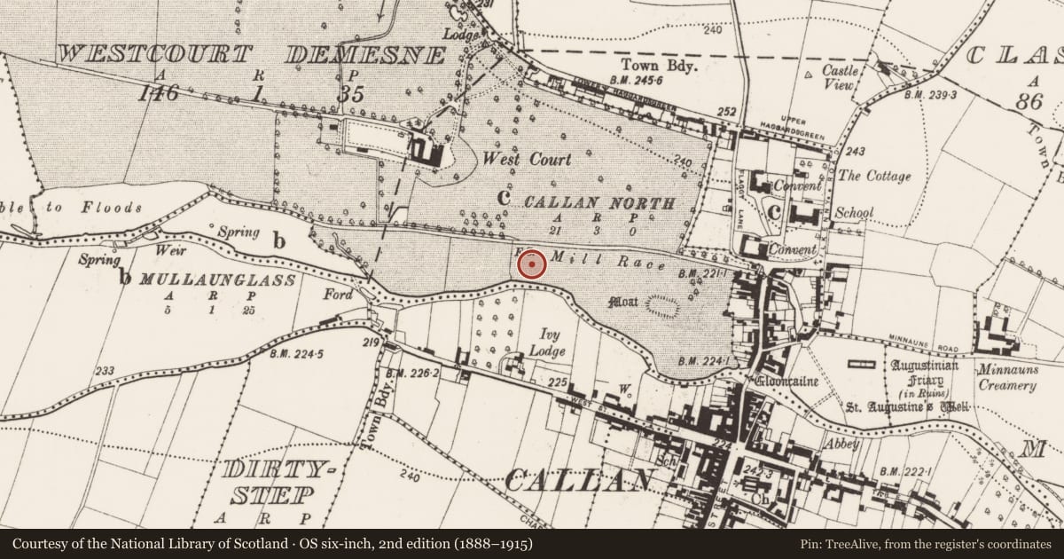 Ordnance Survey six-inch map, 2nd edition (1888–1915) covering the location of Fulacht fia, Westcourt Demesne, County Kilkenny, with a pin at the register's coordinates