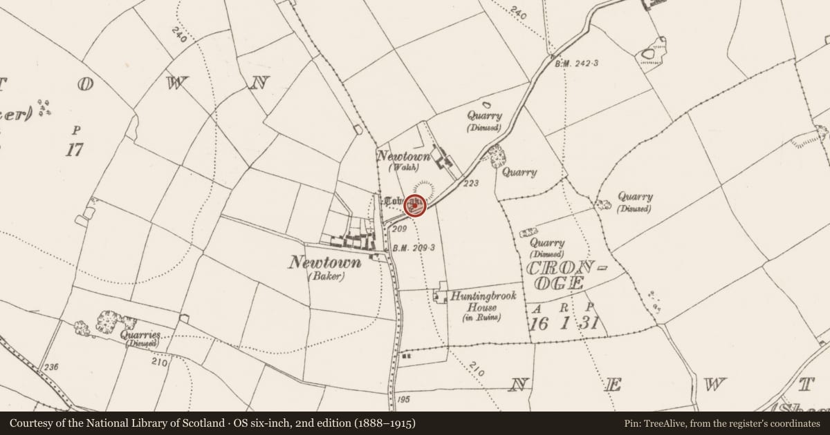 Ordnance Survey six-inch map, 2nd edition (1888–1915) covering the location of Ritual site - holy well, Ovenstown, County Kilkenny, with a pin at the register's coordinates