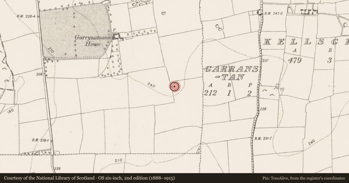 Ordnance Survey six-inch map, 2nd edition (1888–1915) covering the location of Enclosure, Garrynamann Upper, County Kilkenny, with a pin at the register's coordinates