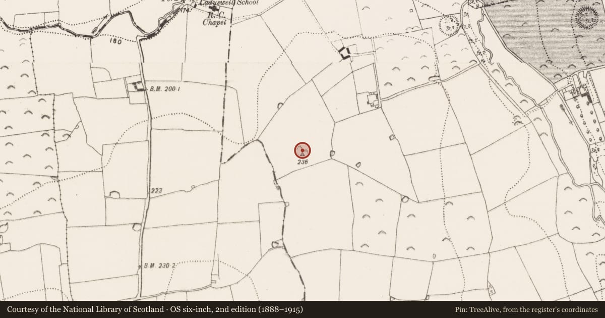 Ordnance Survey six-inch map, 2nd edition (1888–1915) covering the location of Ringfort - rath, Ennisnag, County Kilkenny, with a pin at the register's coordinates