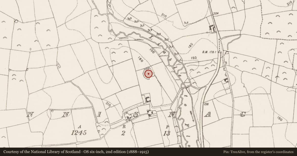 Ordnance Survey six-inch map, 2nd edition (1888–1915) covering the location of Enclosure, Ennisnag, County Kilkenny, with a pin at the register's coordinates