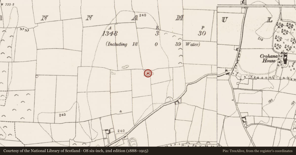Ordnance Survey six-inch map, 2nd edition (1888–1915) covering the location of Enclosure, Annamult, County Kilkenny, with a pin at the register's coordinates