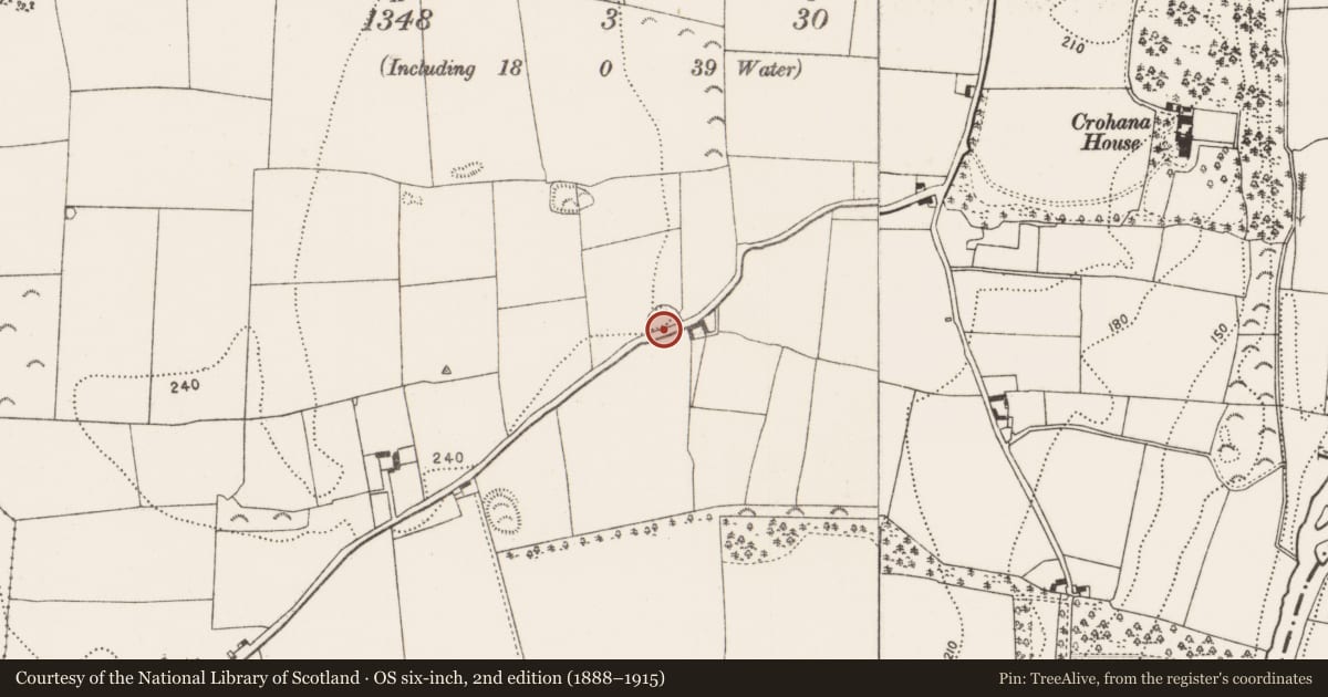 Ordnance Survey six-inch map, 2nd edition (1888–1915) covering the location of Enclosure, Annamult, County Kilkenny, with a pin at the register's coordinates