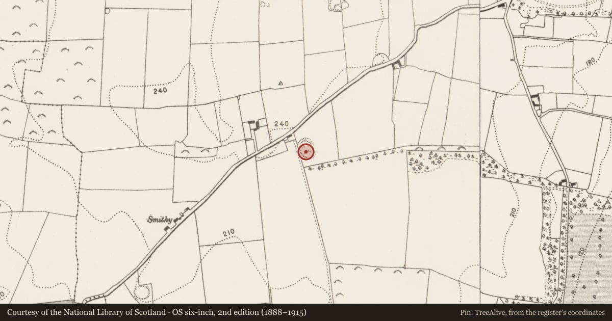 Ordnance Survey six-inch map, 2nd edition (1888–1915) covering the location of Enclosure, Annamult, County Kilkenny, with a pin at the register's coordinates