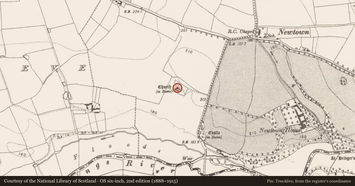 Ordnance Survey six-inch map, 2nd edition (1888–1915) covering the location of Cross, Newtown (Baker), County Kilkenny, with a pin at the register's coordinates