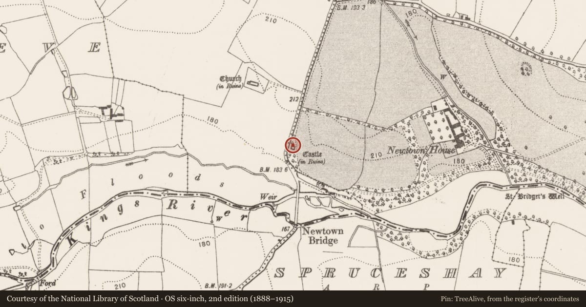 Ordnance Survey six-inch map, 2nd edition (1888–1915) covering the location of Castle - tower house, Newtown (Baker), County Kilkenny, with a pin at the register's coordinates