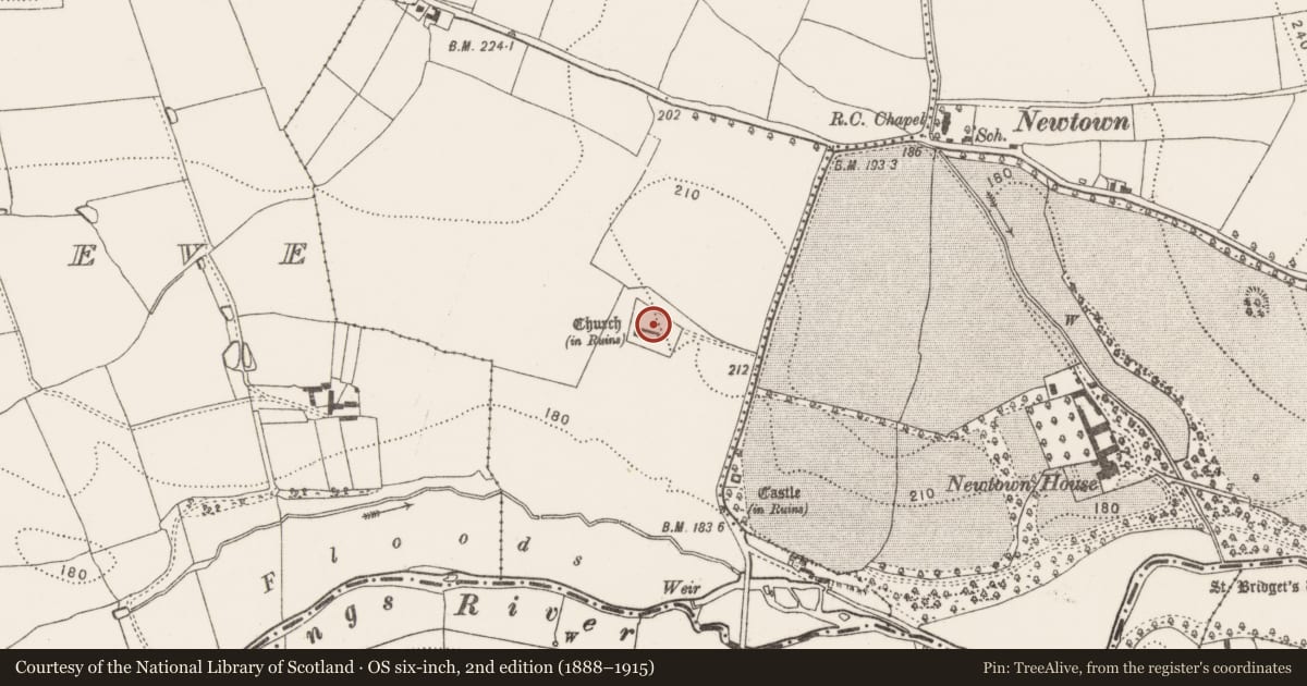 Ordnance Survey six-inch map, 2nd edition (1888–1915) covering the location of Graveyard, Newtown (Baker), County Kilkenny, with a pin at the register's coordinates