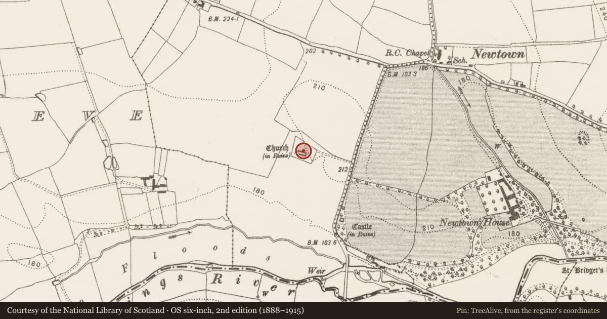 Ordnance Survey six-inch map, 2nd edition (1888–1915) covering the location of Tomb - chest tomb, Newtown (Baker), County Kilkenny, with a pin at the register's coordinates