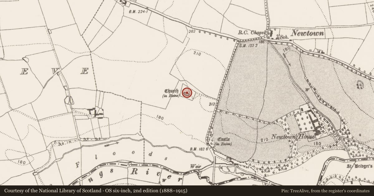 Ordnance Survey six-inch map, 2nd edition (1888–1915) covering the location of Graveslab, Newtown (Baker), County Kilkenny, with a pin at the register's coordinates