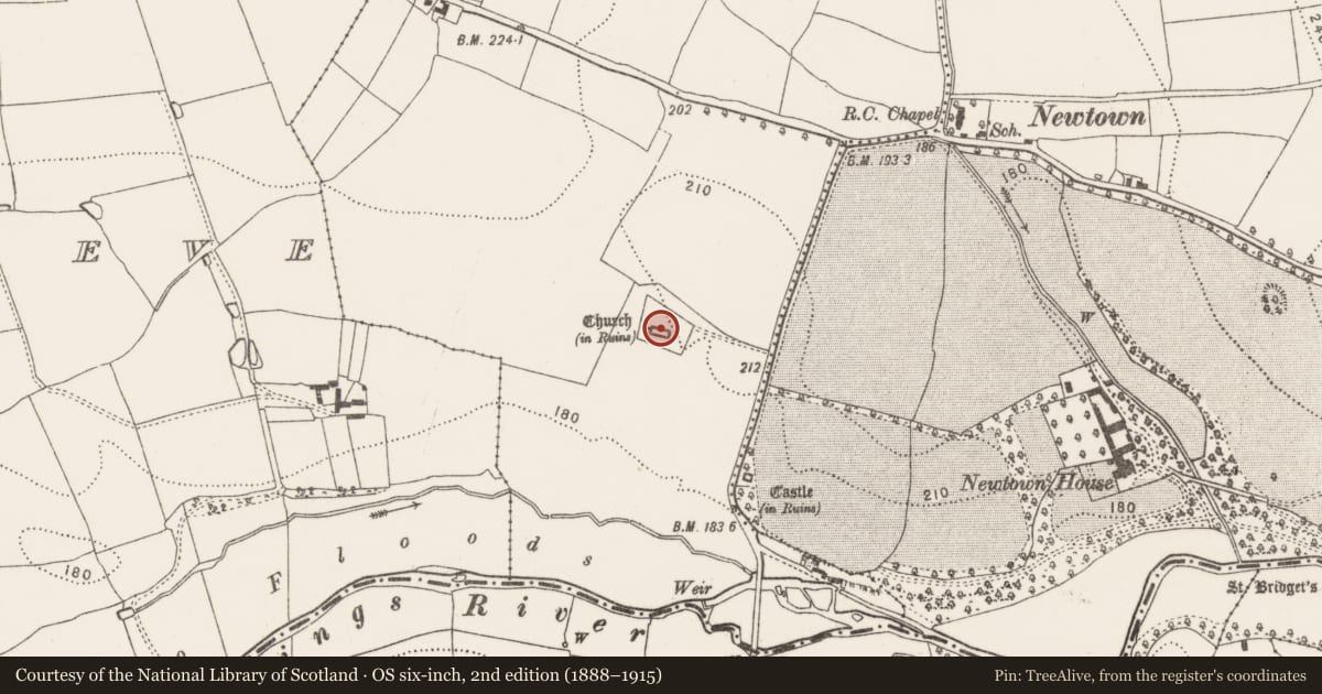 Ordnance Survey six-inch map, 2nd edition (1888–1915) covering the location of Graveslab, Newtown (Baker), County Kilkenny, with a pin at the register's coordinates