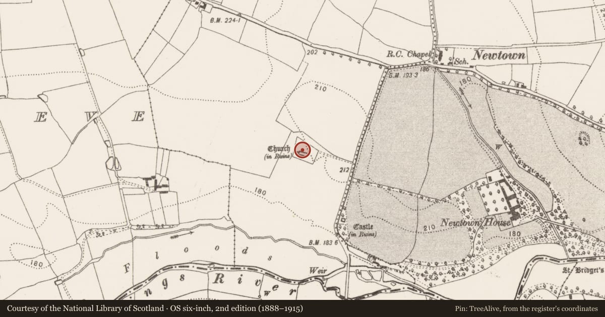 Ordnance Survey six-inch map, 2nd edition (1888–1915) covering the location of Graveslab, Newtown (Baker), County Kilkenny, with a pin at the register's coordinates