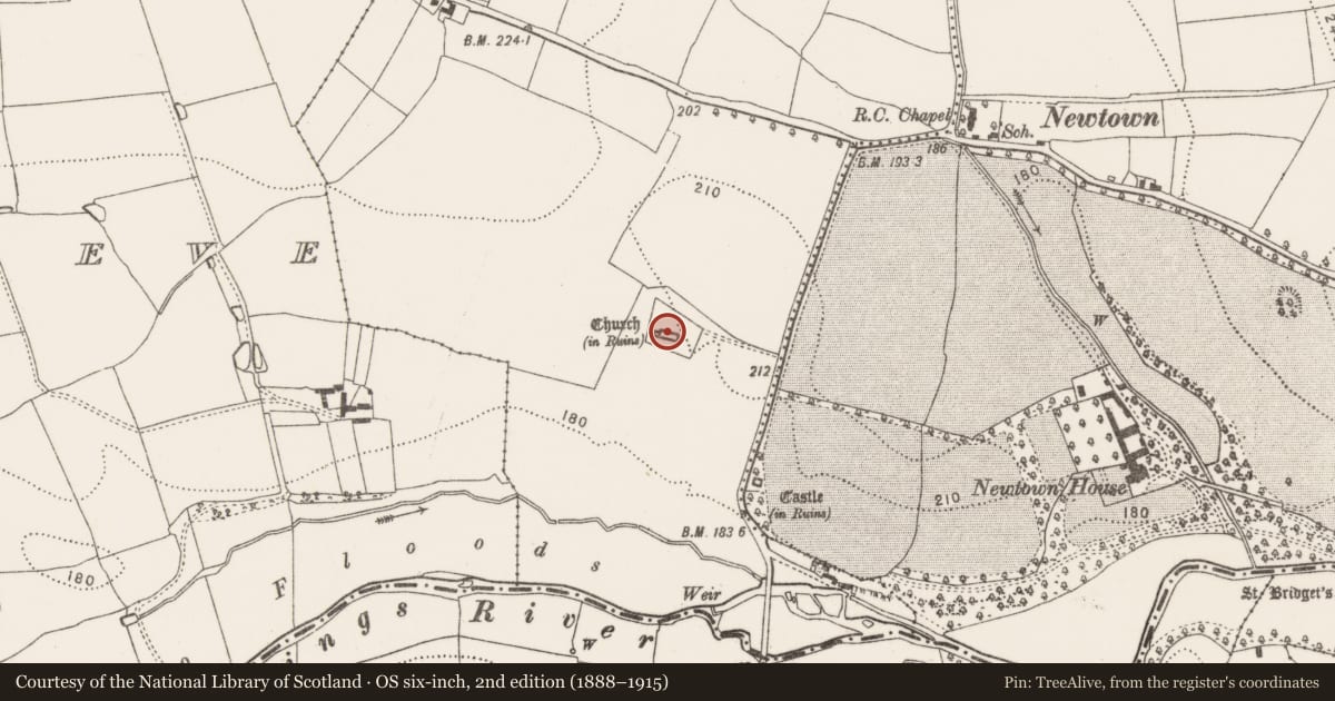 Ordnance Survey six-inch map, 2nd edition (1888–1915) covering the location of Graveslab, Newtown (Baker), County Kilkenny, with a pin at the register's coordinates