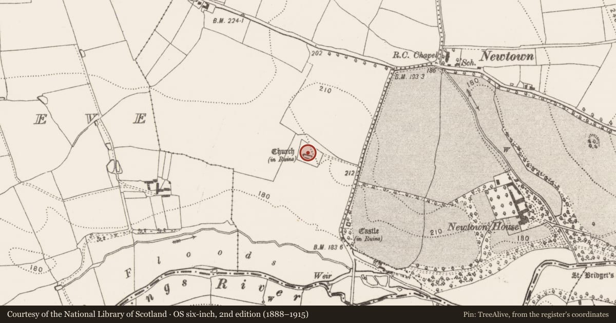 Ordnance Survey six-inch map, 2nd edition (1888–1915) covering the location of Graveslab, Newtown (Baker), County Kilkenny, with a pin at the register's coordinates