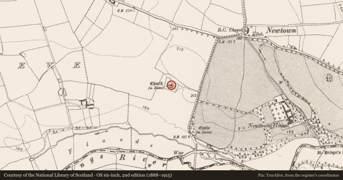 Ordnance Survey six-inch map, 2nd edition (1888–1915) covering the location of Graveslab, Newtown (Baker), County Kilkenny, with a pin at the register's coordinates