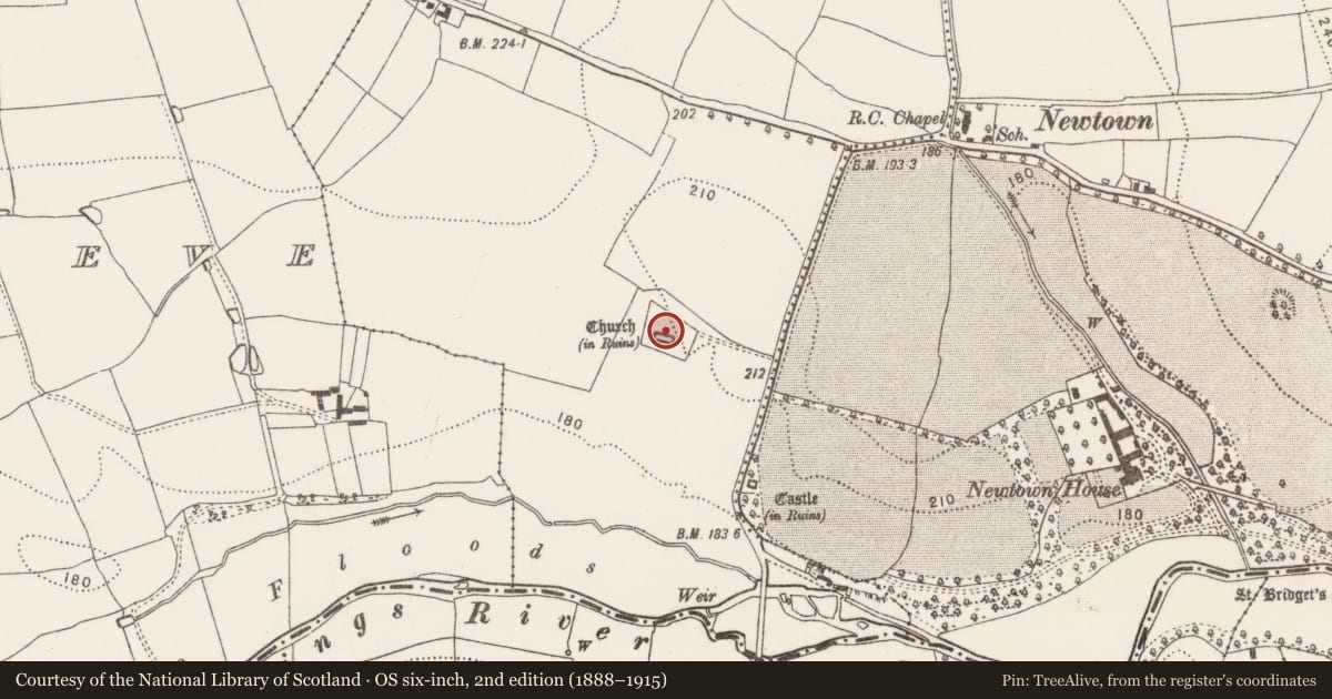 Ordnance Survey six-inch map, 2nd edition (1888–1915) covering the location of Graveslab, Newtown (Baker), County Kilkenny, with a pin at the register's coordinates