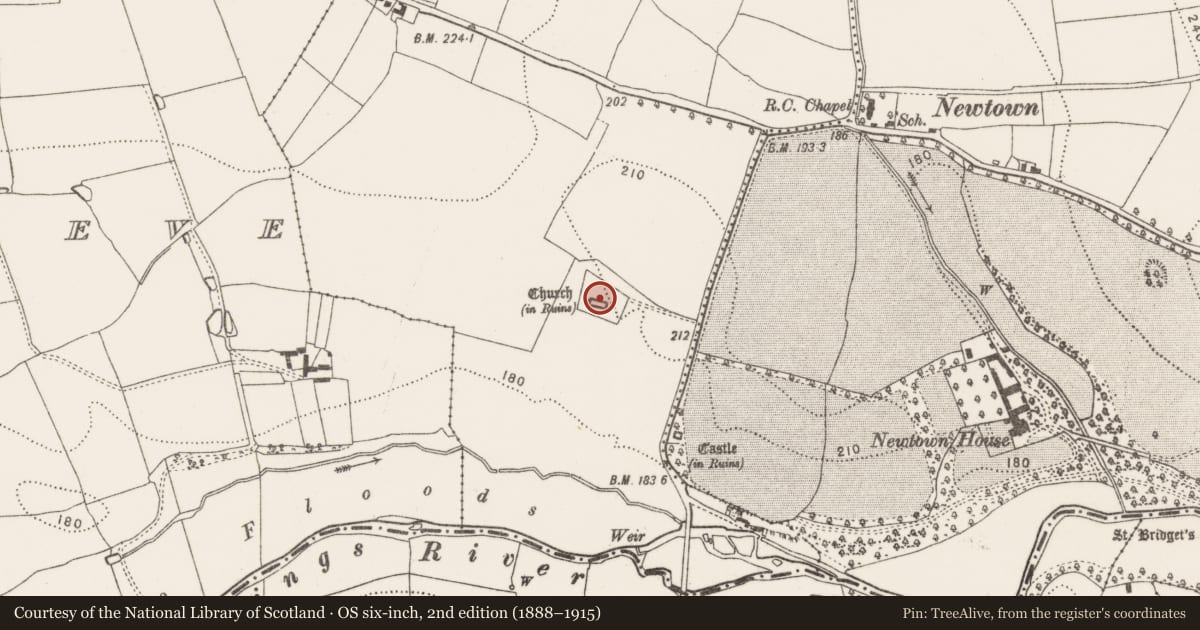 Ordnance Survey six-inch map, 2nd edition (1888–1915) covering the location of Graveslab, Newtown (Baker), County Kilkenny, with a pin at the register's coordinates