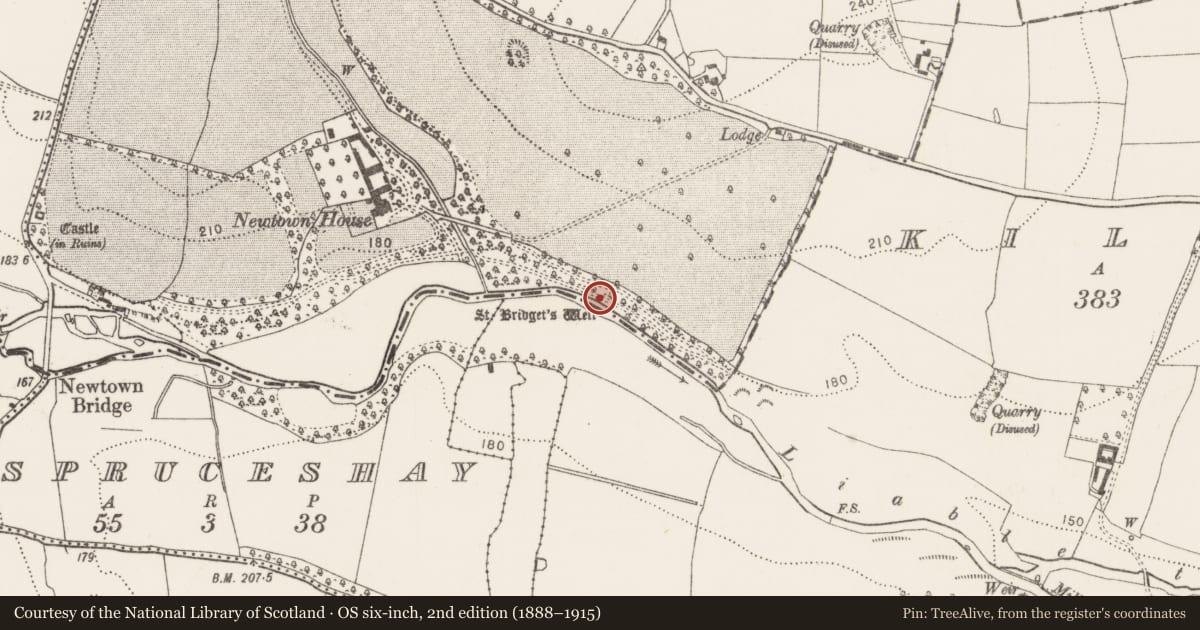 Ordnance Survey six-inch map, 2nd edition (1888–1915) covering the location of Ritual site - holy well, Newtown (Shea), County Kilkenny, with a pin at the register's coordinates