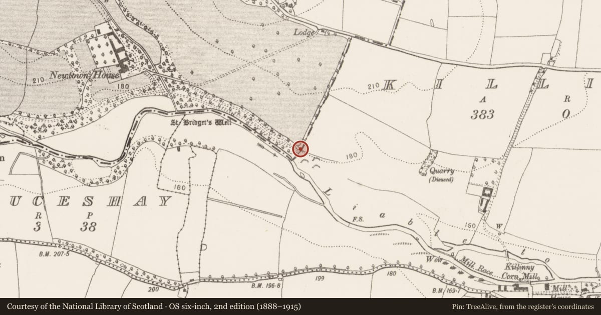 Ordnance Survey six-inch map, 2nd edition (1888–1915) covering the location of Boundary stone, Killinny, County Kilkenny, with a pin at the register's coordinates