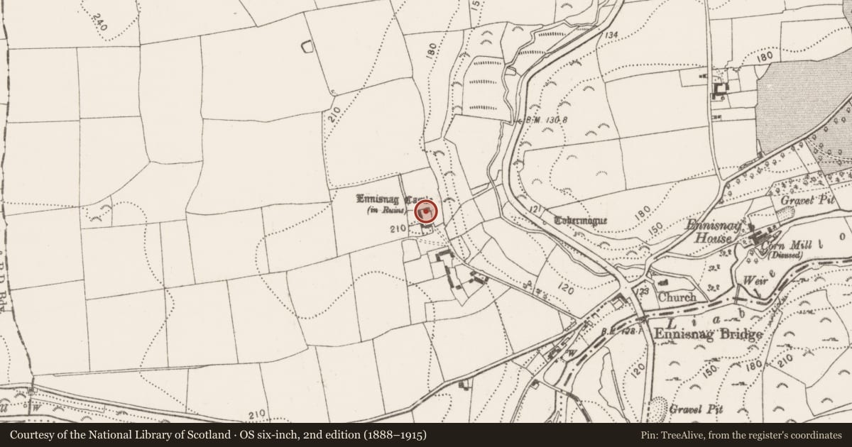 Ordnance Survey six-inch map, 2nd edition (1888–1915) covering the location of Castle - unclassified, Ennisnag, County Kilkenny, with a pin at the register's coordinates