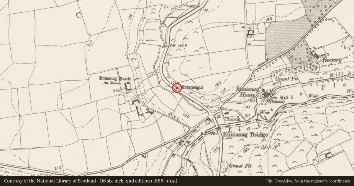 Ordnance Survey six-inch map, 2nd edition (1888–1915) covering the location of Ritual site - holy well, Ennisnag, County Kilkenny, with a pin at the register's coordinates