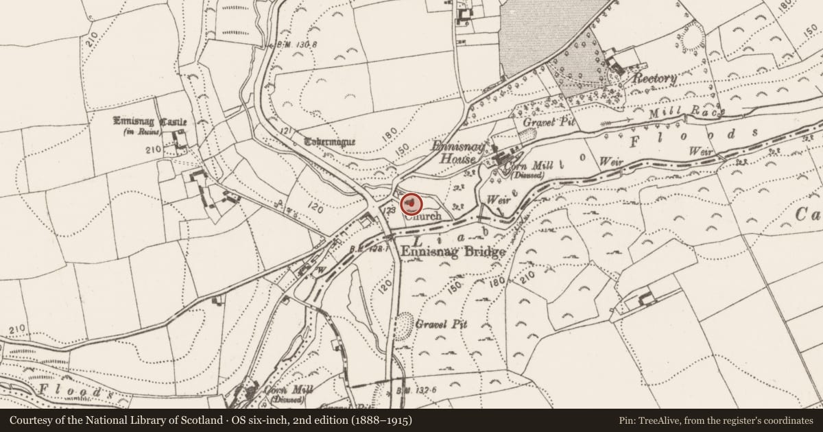Ordnance Survey six-inch map, 2nd edition (1888–1915) covering the location of Graveslab, Ennisnag, County Kilkenny, with a pin at the register's coordinates