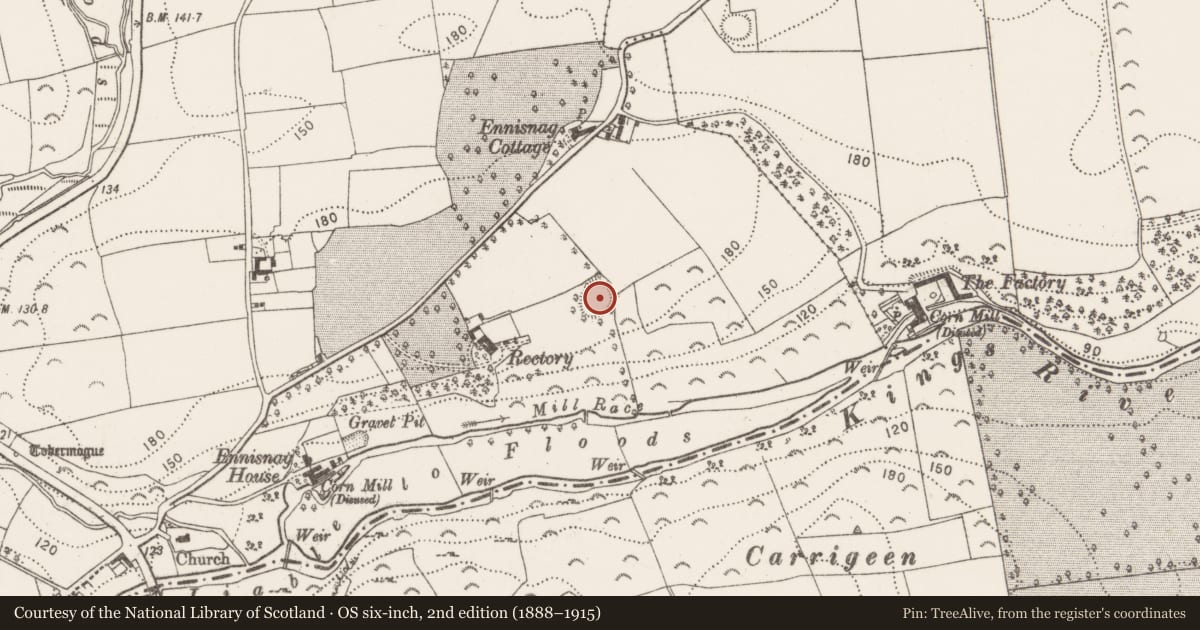Ordnance Survey six-inch map, 2nd edition (1888–1915) covering the location of Ringfort - unclassified, Ennisnag, County Kilkenny, with a pin at the register's coordinates