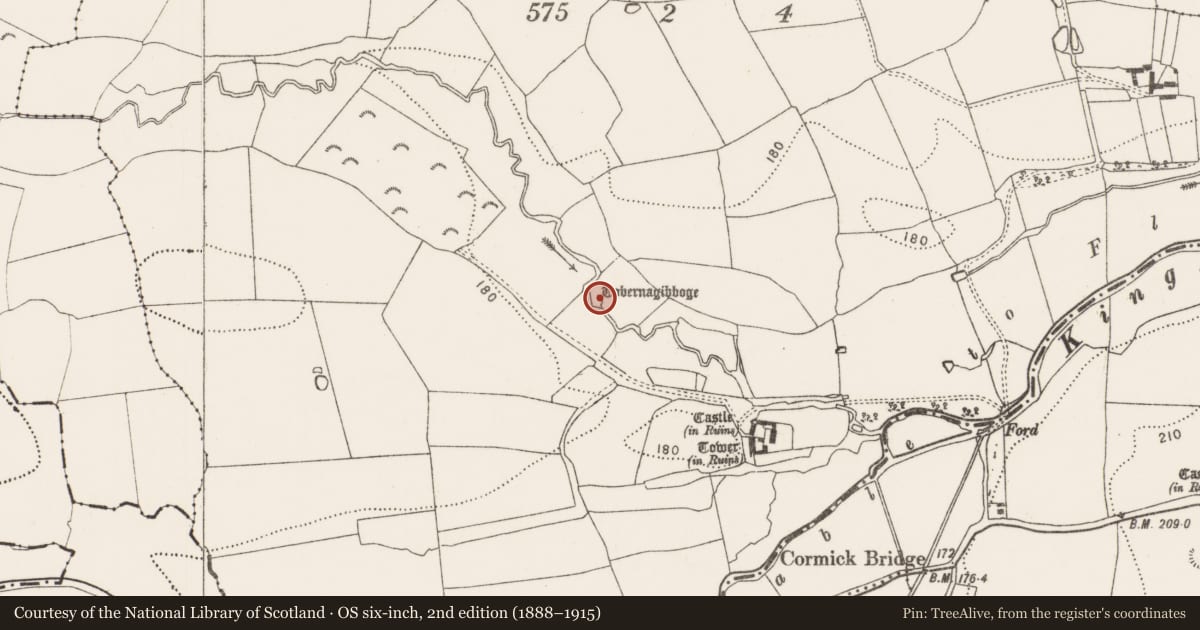 Ordnance Survey six-inch map, 2nd edition (1888–1915) covering the location of Ritual site - holy well, Castle Eve, County Kilkenny, with a pin at the register's coordinates