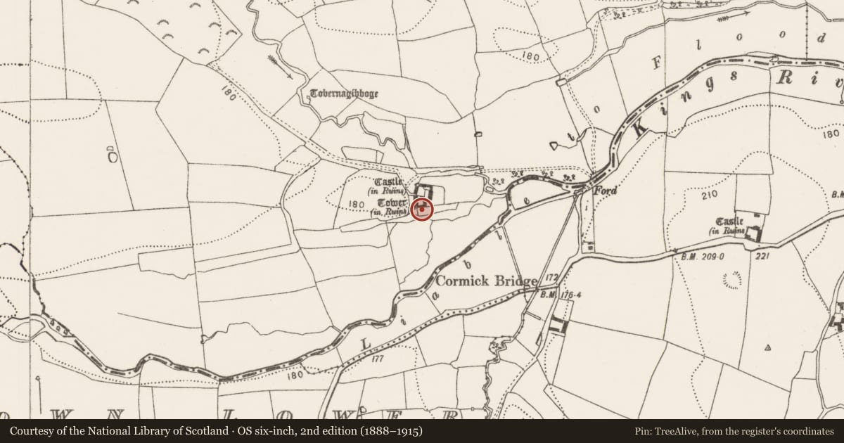 Ordnance Survey six-inch map, 2nd edition (1888–1915) covering the location of House - fortified house, Castle Eve, County Kilkenny, with a pin at the register's coordinates
