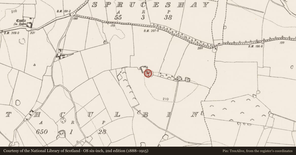 Ordnance Survey six-inch map, 2nd edition (1888–1915) covering the location of Enclosure, Rathculbin, County Kilkenny, with a pin at the register's coordinates