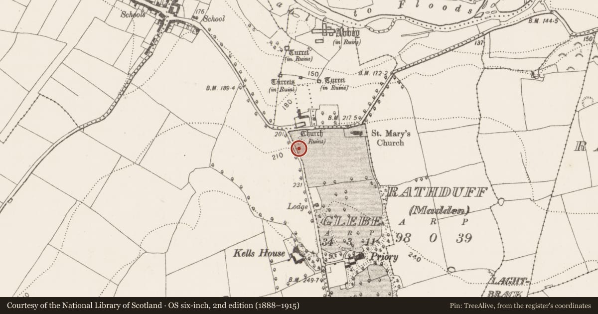 Ordnance Survey six-inch map, 2nd edition (1888–1915) covering the location of Historic town, County Kilkenny, with a pin at the register's coordinates