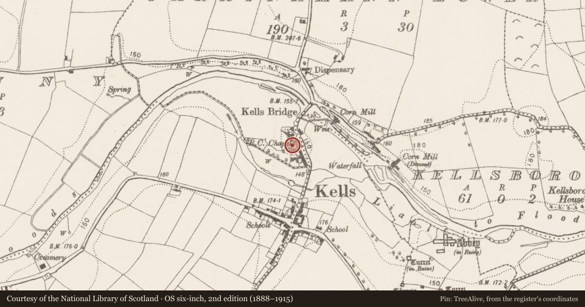 Ordnance Survey six-inch map, 2nd edition (1888–1915) covering the location of Castle - motte and bailey, Garrynamann Lower, County Kilkenny, with a pin at the register's coordinates