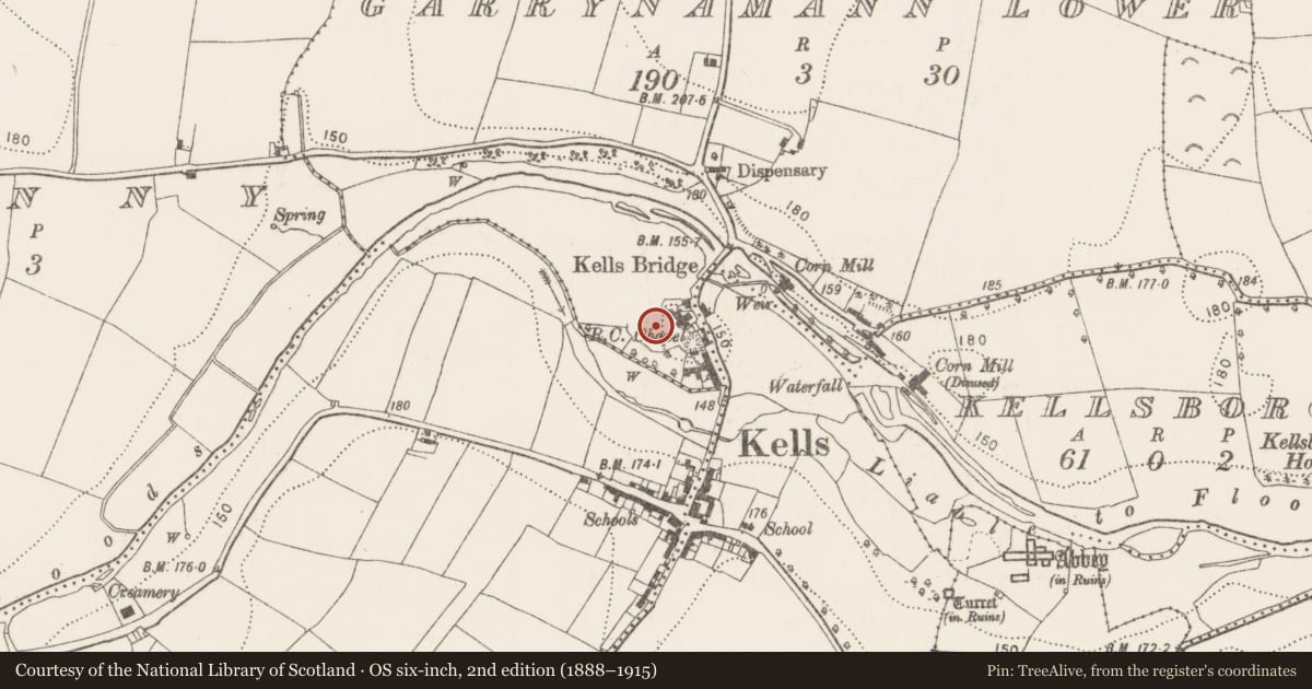 Ordnance Survey six-inch map, 2nd edition (1888–1915) covering the location of Bawn, Garrynamann Lower, County Kilkenny, with a pin at the register's coordinates