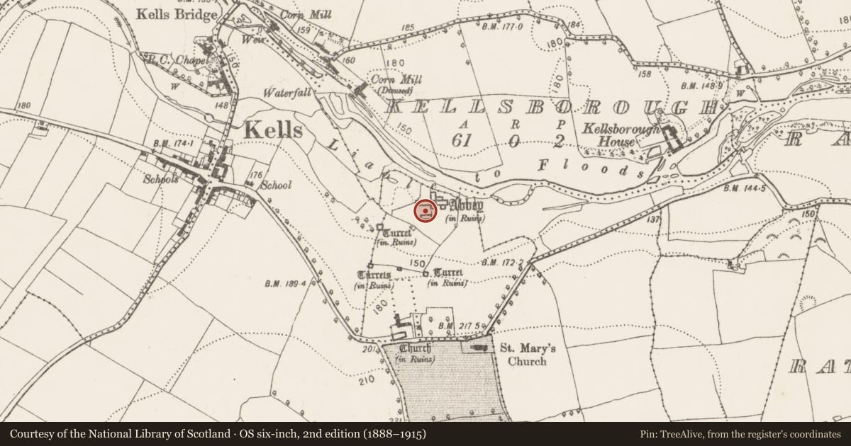 Ordnance Survey six-inch map, 2nd edition (1888–1915) covering the location of Religious house - Augustinian canons, Rathduff (Madden), County Kilkenny, with a pin at the register's coordinates