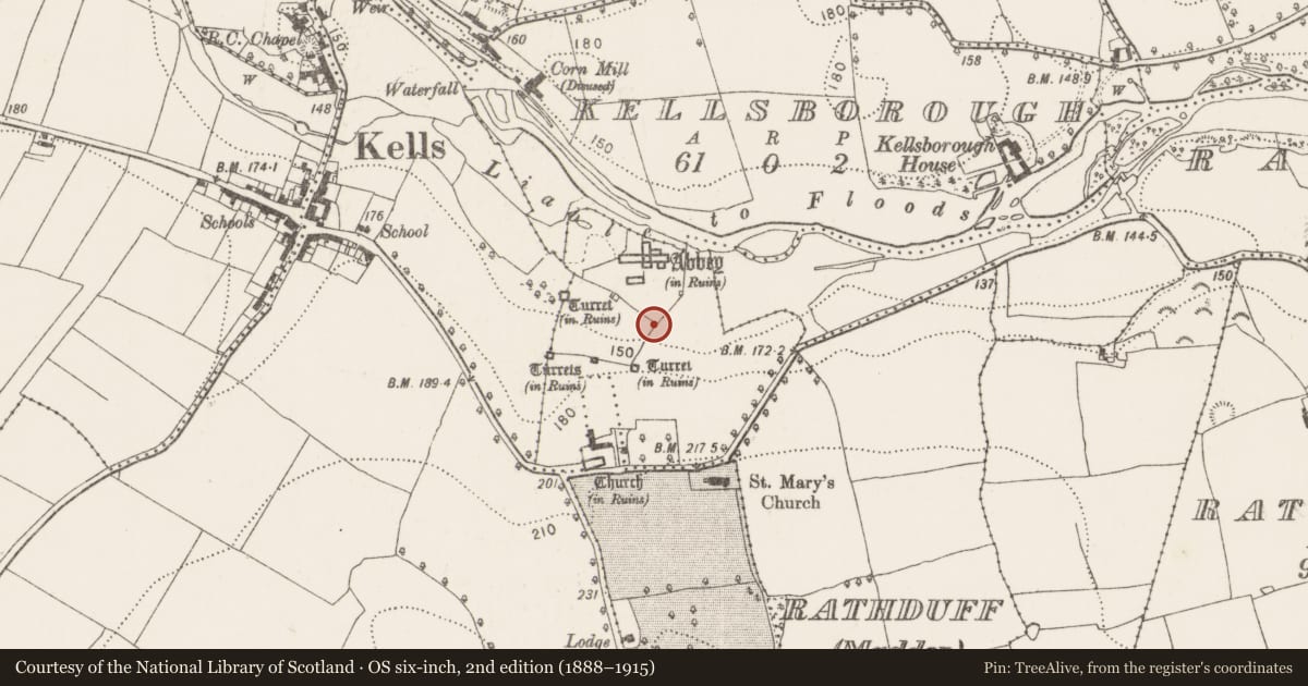 Ordnance Survey six-inch map, 2nd edition (1888–1915) covering the location of Water mill - unclassified, Rathduff (Madden), County Kilkenny, with a pin at the register's coordinates