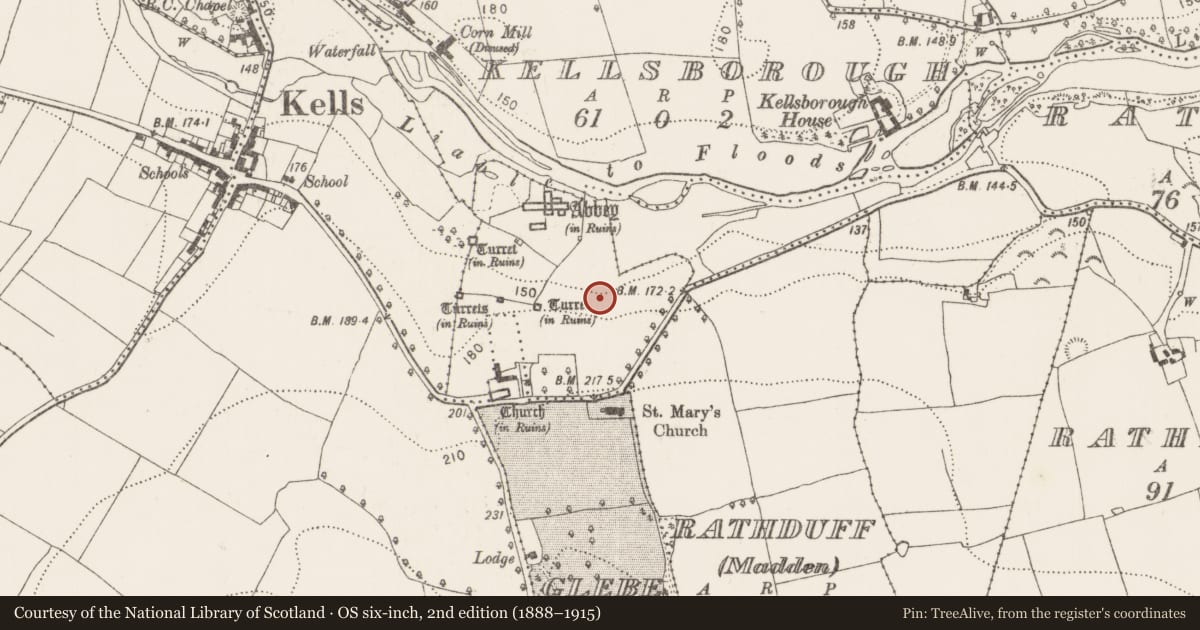 Ordnance Survey six-inch map, 2nd edition (1888–1915) covering the location of Road - road/trackway, Rathduff (Madden), County Kilkenny, with a pin at the register's coordinates
