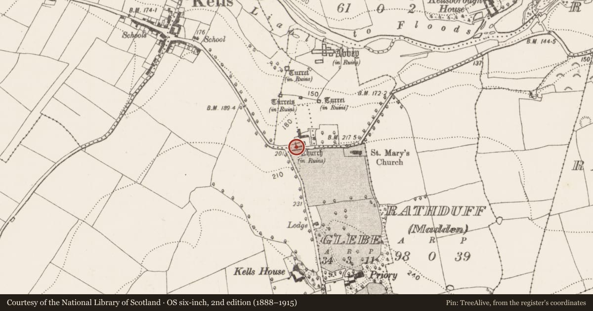 Ordnance Survey six-inch map, 2nd edition (1888–1915) covering the location of Tomb - effigial, Glebe, County Kilkenny, with a pin at the register's coordinates