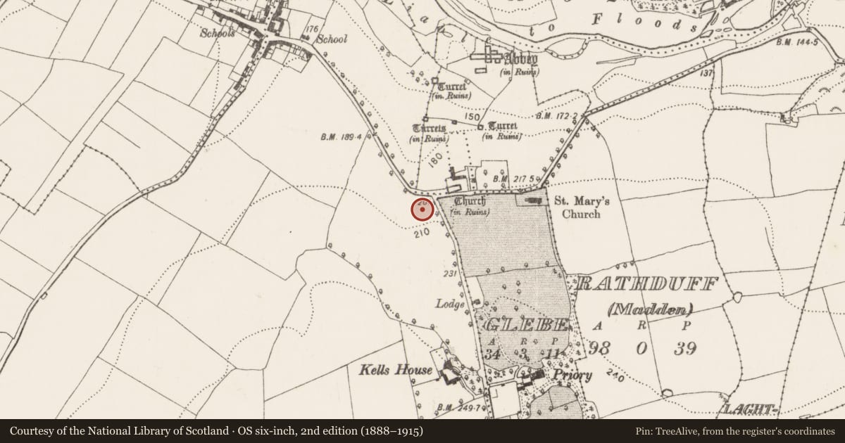 Ordnance Survey six-inch map, 2nd edition (1888–1915) covering the location of Cross - Market cross, Kells, County Kilkenny, with a pin at the register's coordinates